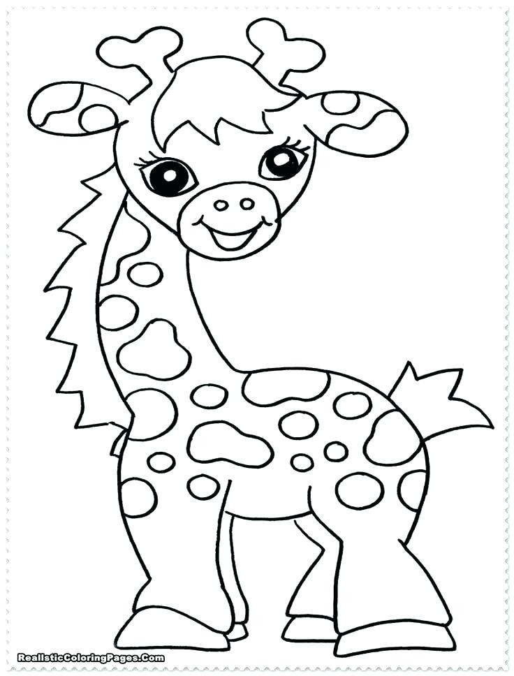 Safari Animals Coloring Pages Luxury Safari Coloring Page Animal 736x968 Safari Animals Coloring Pages Luxury Safari Coloring Page Animal