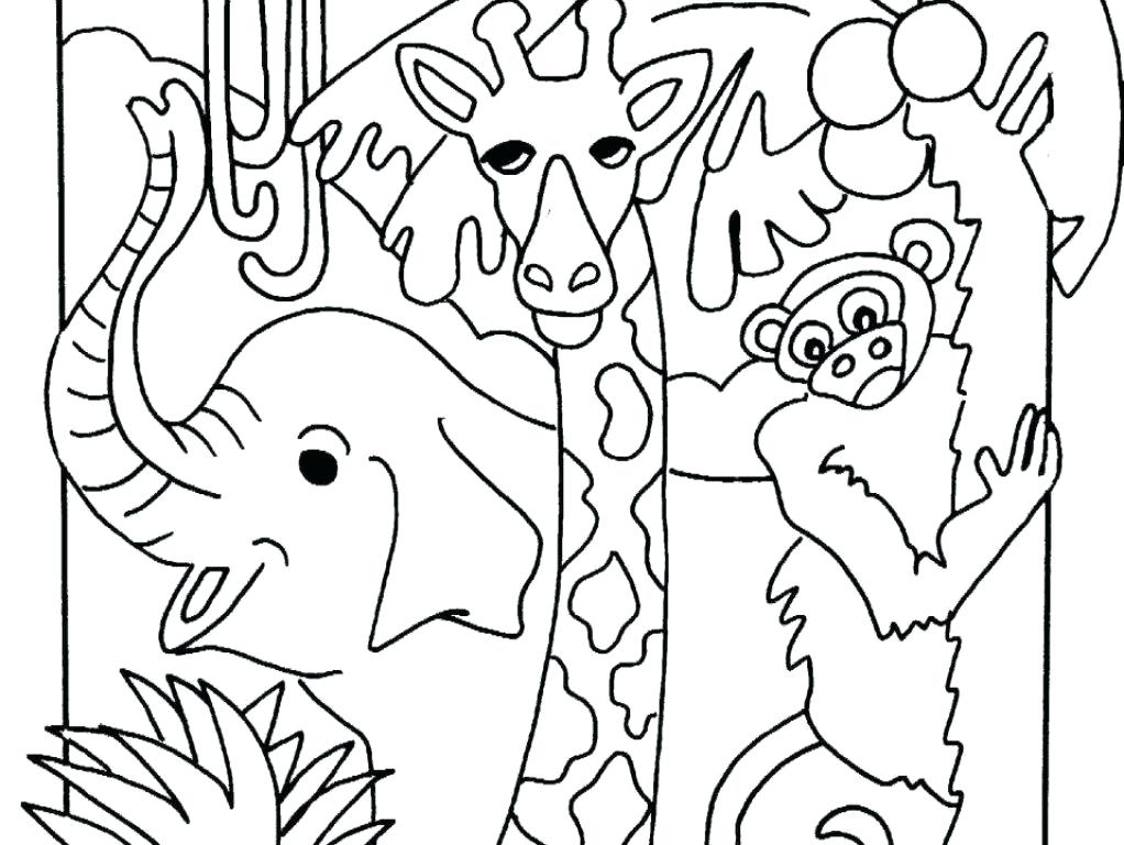 Safari Coloring Pages Another Pictures Related To Enchanting 1022x768 Safari Coloring Pages Another Pictures Related To Enchanting