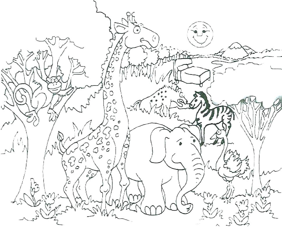 Baby Safari Animals Coloring Pages Baby Safari Animals Coloring 970x780 Baby Safari Animals Coloring Pages Baby Safari Animals Coloring