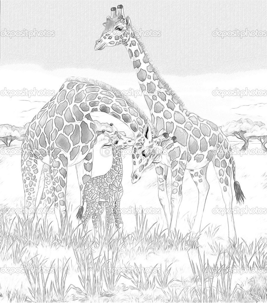 African Savanna Coloring Page at GetColorings.com | Free printable