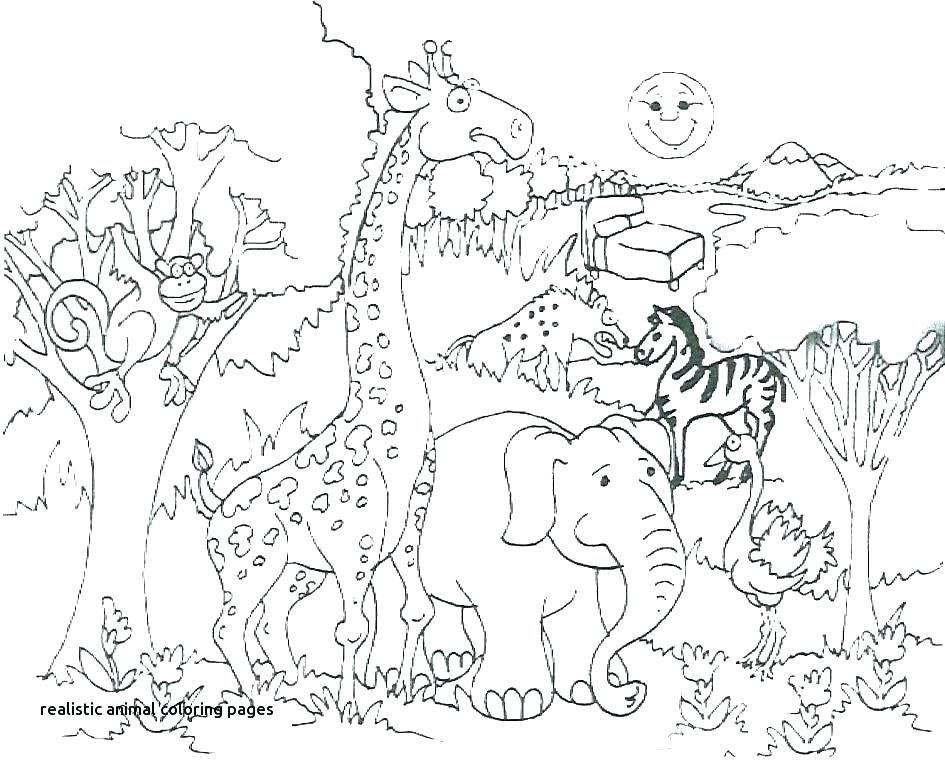 African Animal Coloring Pages Animals Coloring Pages Animal 945x760 African Animal Coloring Pages Animals Coloring Pages Animal