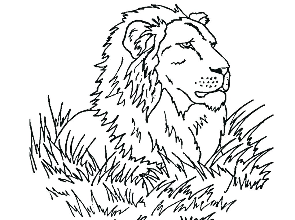 African Animals Coloring Pages 1024x766 African Animals Coloring Pages