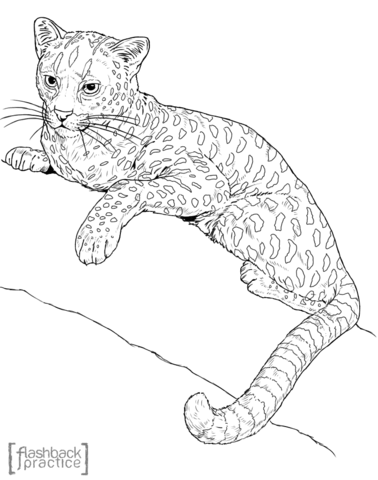 African Golden Cat On The Tree Coloring Page 378x480 African Golden Cat On The Tree Coloring Page