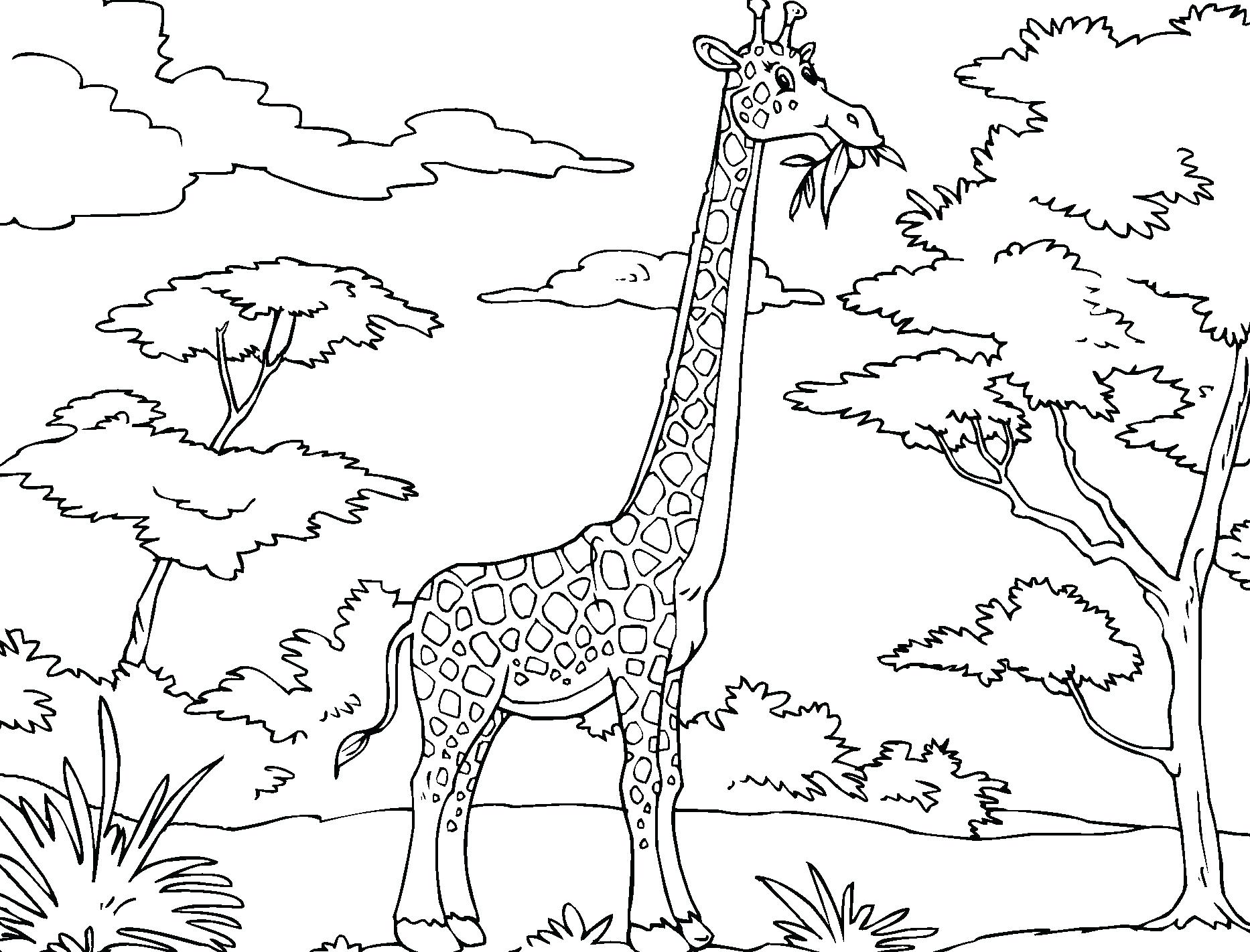 Coloring Pages Flowers Free Printable Amazing Elephant Cartoon 1866x1422 Coloring Pages Flowers Free Printable Amazing Elephant Cartoon