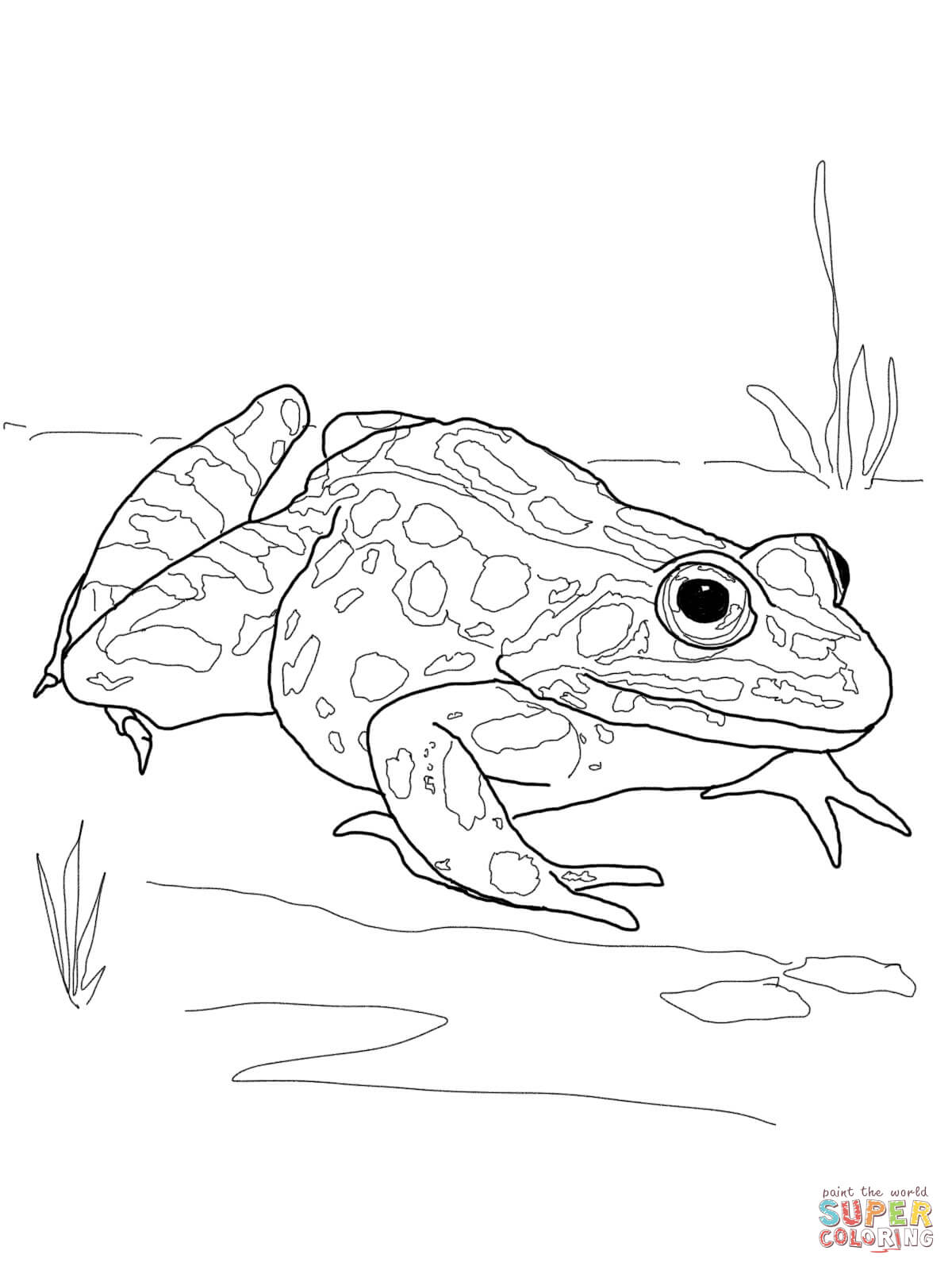 Pleasurable Free Printable Frog Coloring Pages Frogs Inside Jumper 1200x1600 Pleasurable Free Printable Frog Coloring Pages Frogs Inside Jumper
