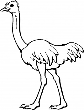 Free Coloring Page Of African Trees Ostrich Coloring Page 268x350 Free Coloring Page Of African Trees Ostrich Coloring Page