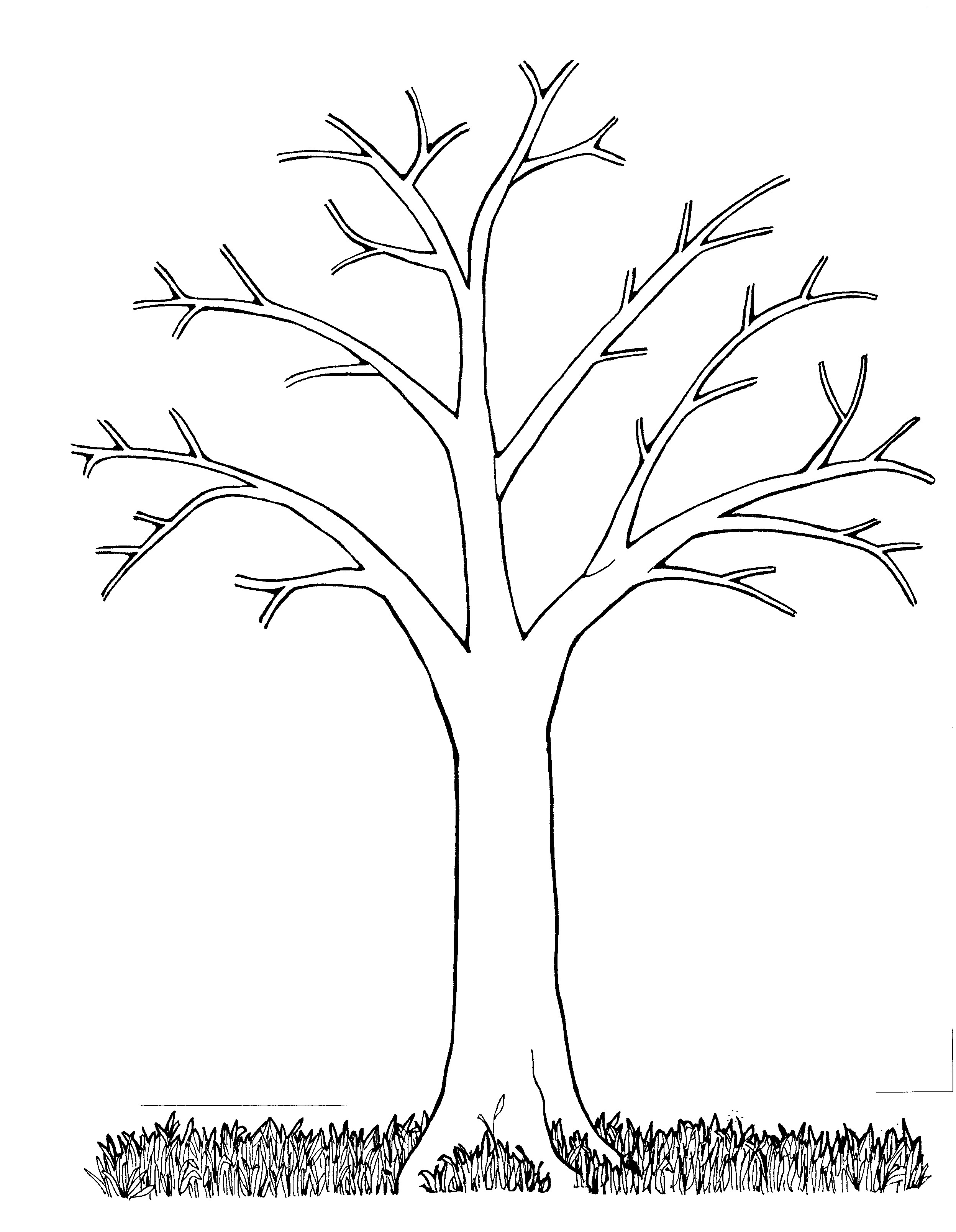 Bare Tree Adult Coloring Pages Free Coloring For Kids 2018 2495x3216 Bare Tree Adult Coloring Pages Free Coloring For Kids 2018