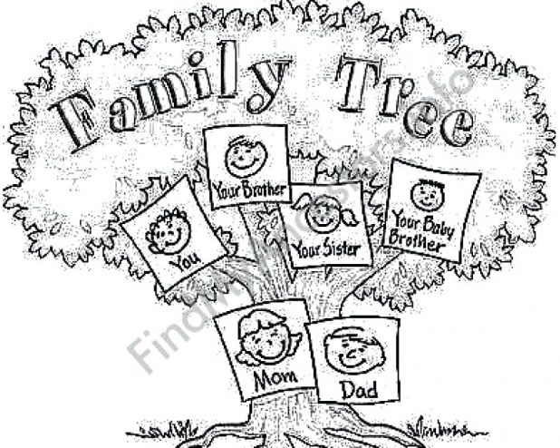 Family Tree Coloring 618x494 Family Tree Coloring