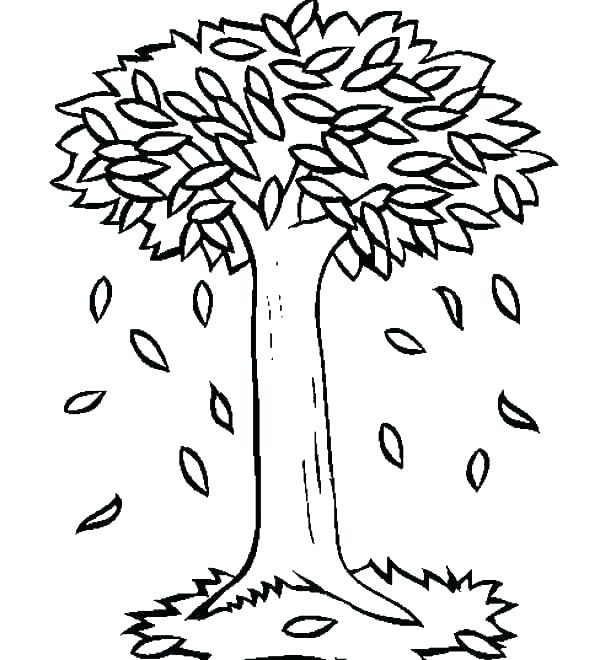 African Trees Coloring Pages at GetColorings.com | Free printable ...