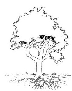 Free Coloring Page Of African Trees You Might Also Like These 236x298 Free Coloring Page Of African Trees You Might Also Like These