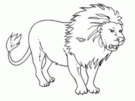 Wild Dog Coloring Pages 440x330 Wild Dog Coloring Pages