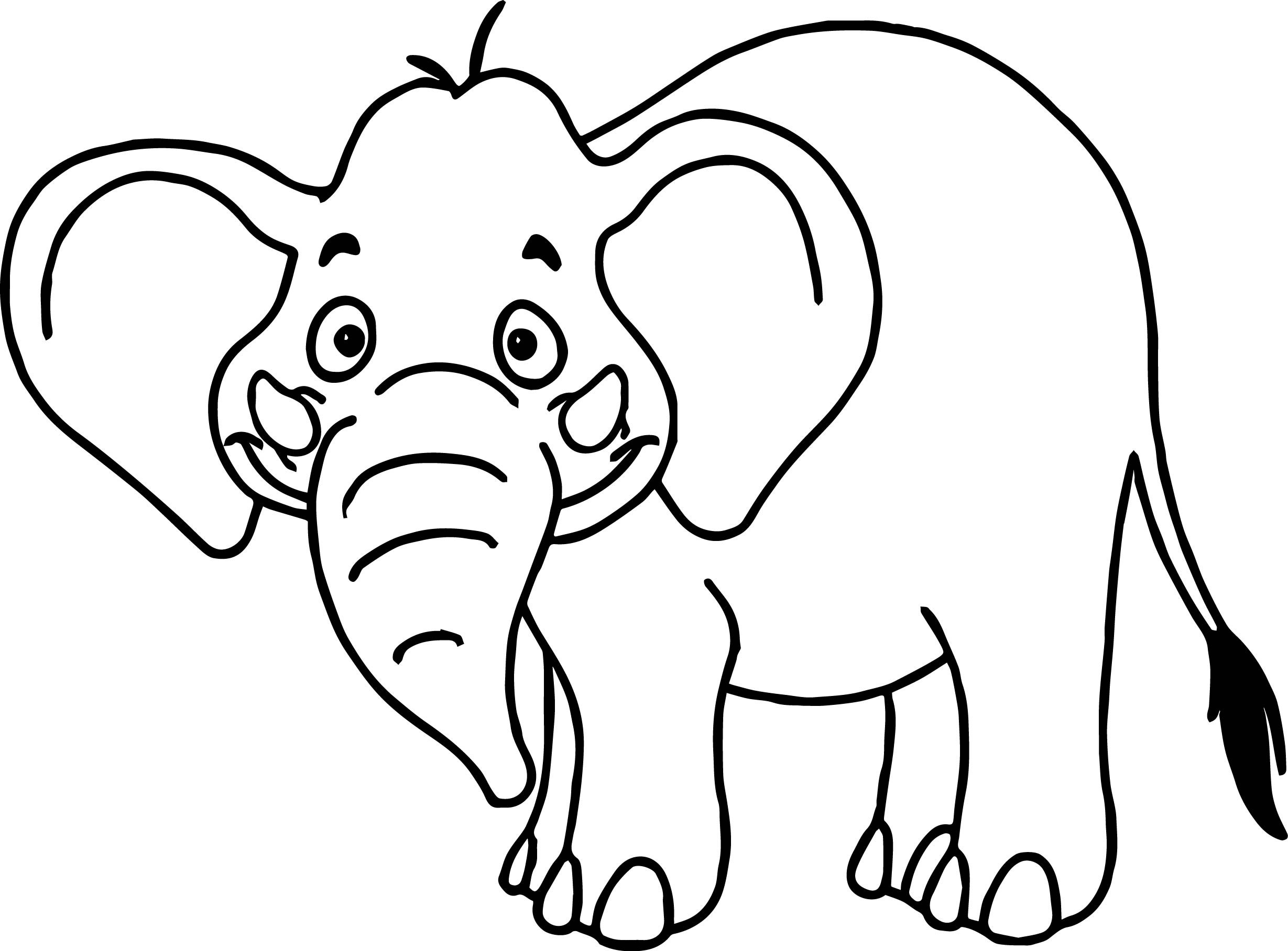 Zoo Animals Tropical Cartoon Wild Elephant Coloring Page 2458x1816 Zoo Animals Tropical Cartoon Wild Elephant Coloring Page