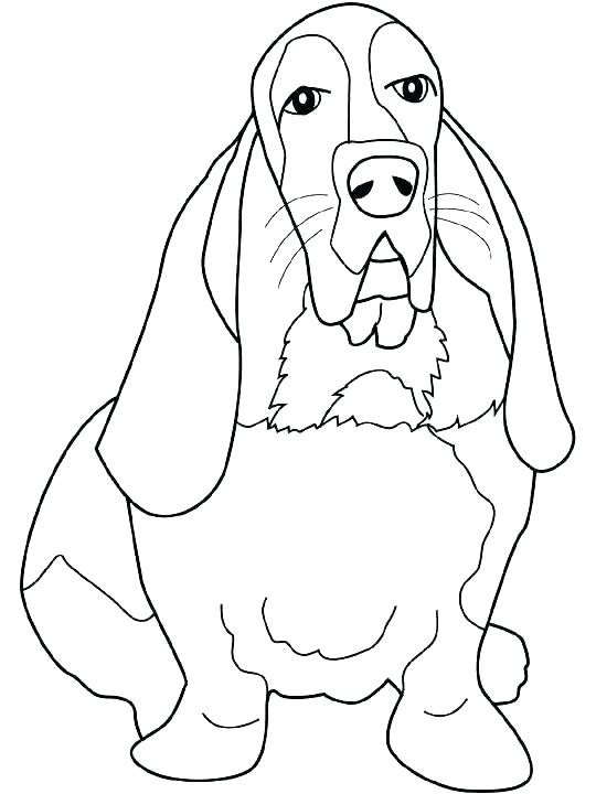 Amelia Earhart Pictures To Print 540x720 Amelia Earhart Pictures To Print