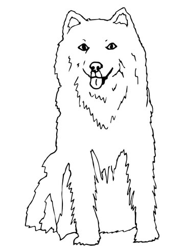 360x480 Animal Coloring Pages Page 42
