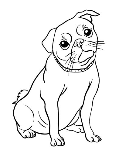 Akita Coloring Pages at GetColorings.com | Free printable colorings ...