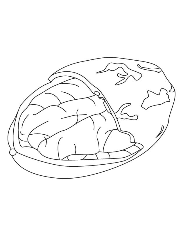 630x810 Largemouth Bass Coloring Page Many Interesting Cliparts