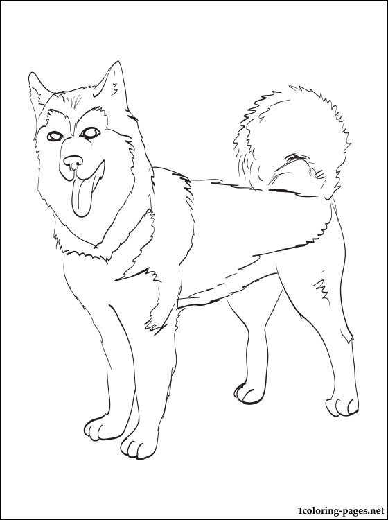 560x750 Alaskan Malamute Coloring Page Coloring Pages