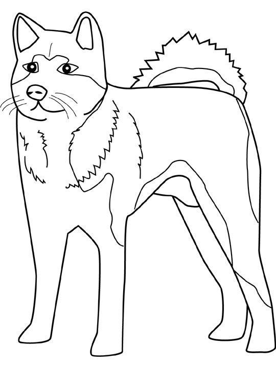 540x720 Siberian Husky Coloring Pages 325089