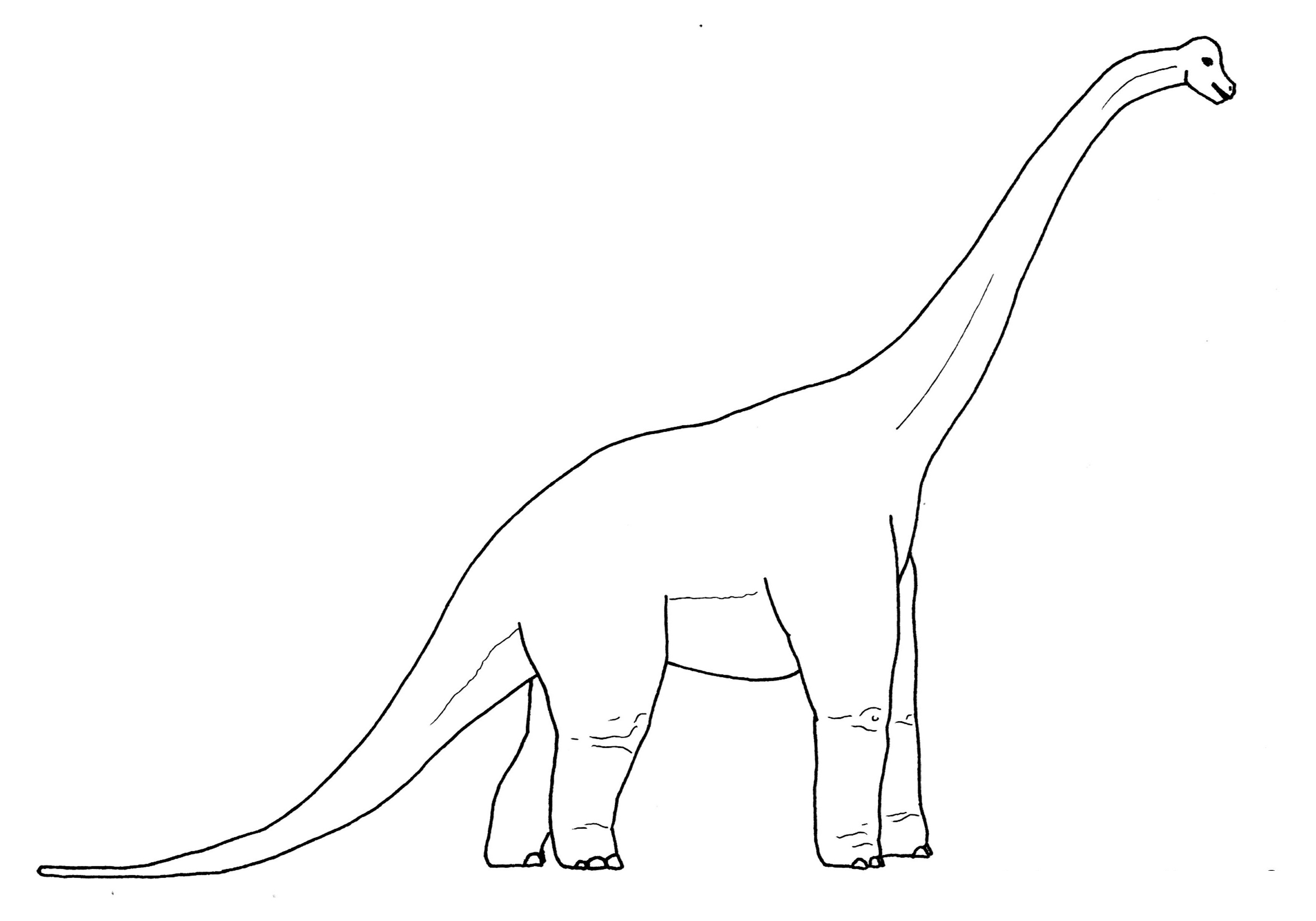 3459x2420 Brachiosaurus Coloring Pages To Print Coloring For Kids 2018