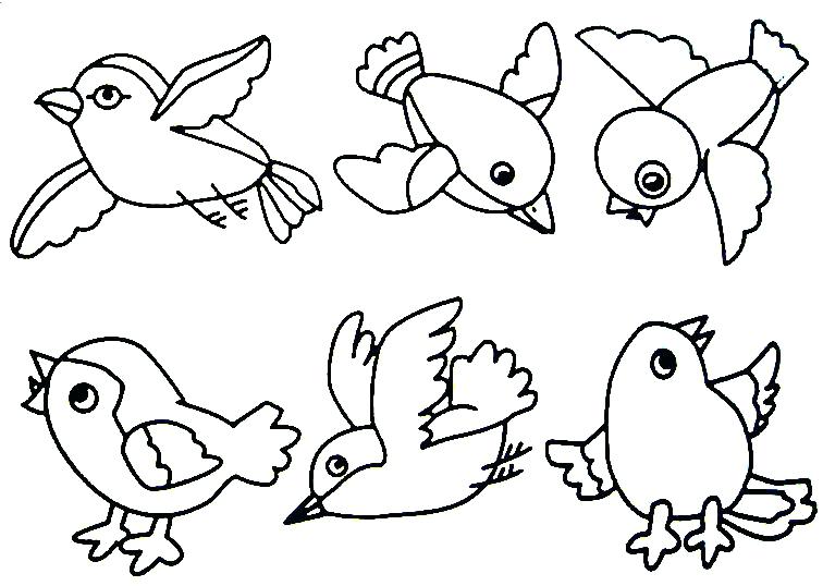 756x538 Cute Bird Coloring Pages Birds To Color Bird 2 Coloring Kids