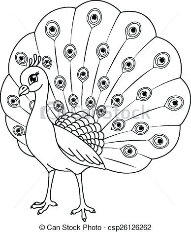 388x470 Puffin Coloring Page Peacock Coloring Page Vector Puffin Rock