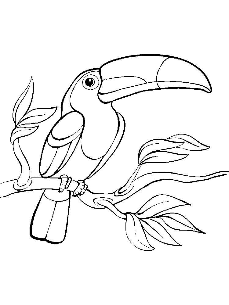 750x1000 Toucan Coloring Pages. Download And Print Toucan Coloring Pages