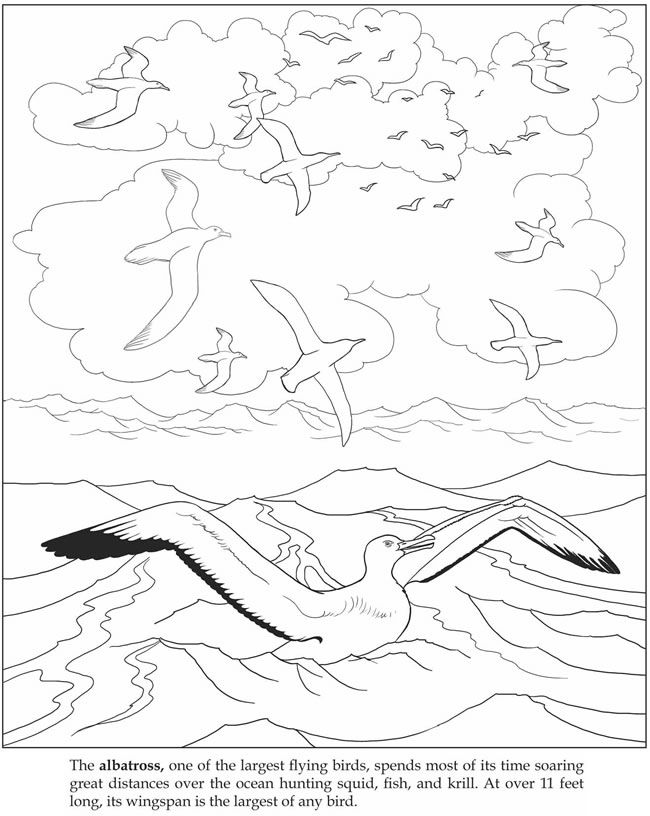 650x816 84 Best Coloriages Mer Images On Coloring Books