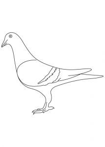 214x300 Free Animals Pigeon Printable Coloring Pages For Preschool