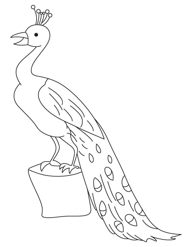 630x810 Peacock Perched On A Log Coloring Page Download Free Peacock