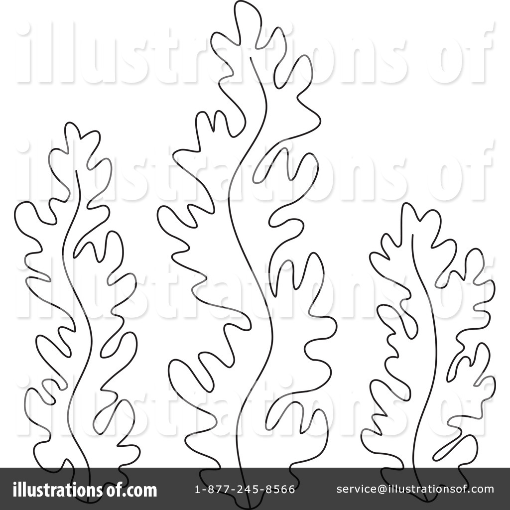 1024x1024 Weed Clipart Coloring Page