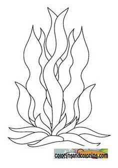 236x334 How To Draw Coral Coral Reef Coloring Pages For Kids