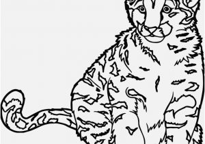 300x210 Cat Coloring Sheets Portraits Innovative Cheshire Cat Coloring