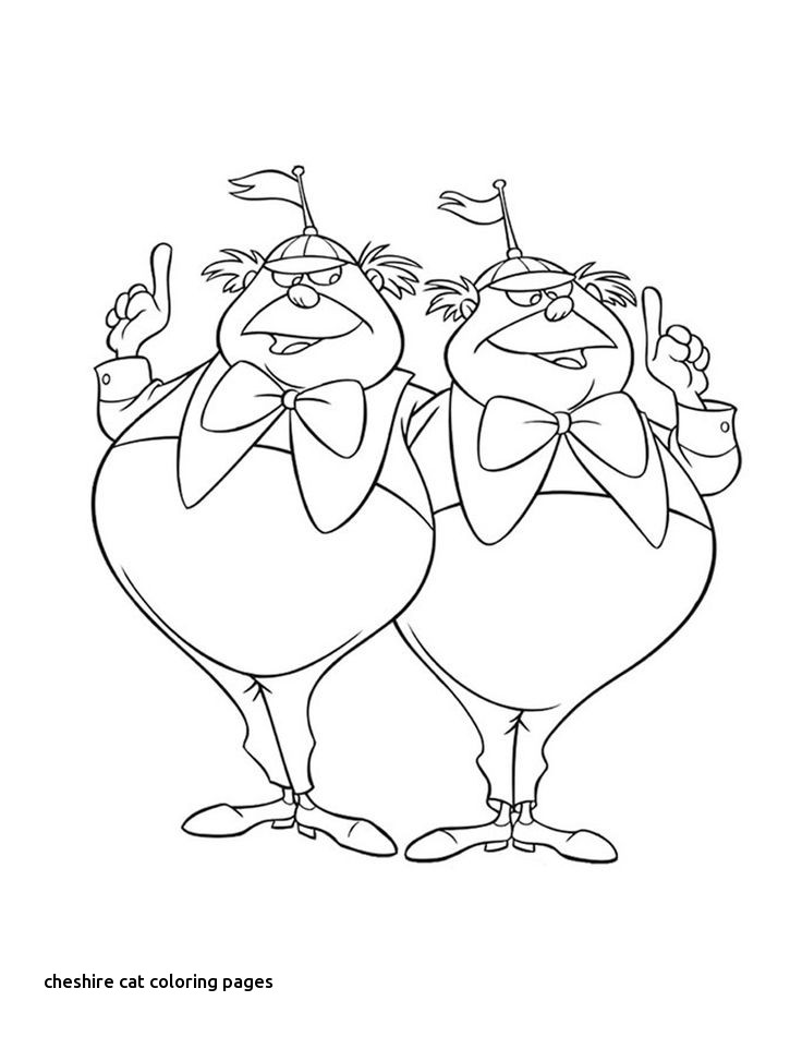 736x951 469 Best Alice In Wonderland Disney Images On