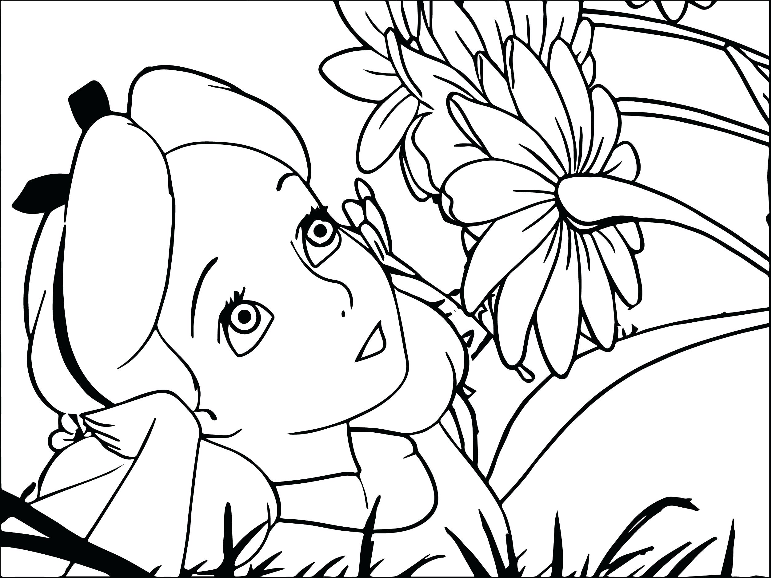 2506x1881 Alice In Wonderland Colouring Pictures 2010 Finding Dory Coloring