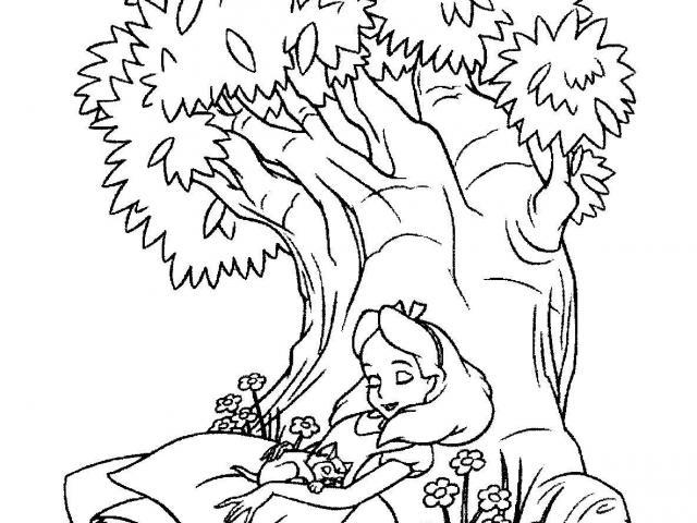 640x480 Alice Wonderland Coloring Pages Printable For Bebo Pandco