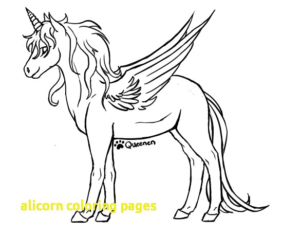 Alicorn Coloring Pages With Alicorn Coloring Page Free Printable 549x457 Alicorn Coloring Pages With Alicorn Coloring Page Free Printable