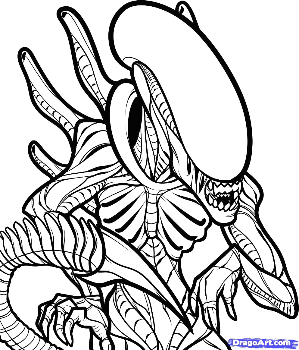 Free Alien Vs Predator Coloring Pages Colouring To Sweet Page Avp 993x1161 Free Alien Vs Predator Coloring Pages Colouring To Sweet Page Avp