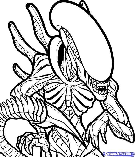 Xenomorph Coloring Pages Pin Katerina Anne On Coloring 564x659 Xenomorph Coloring Pages Pin Katerina Anne On Coloring