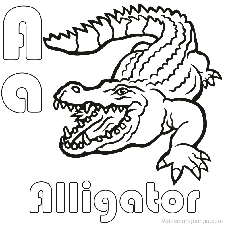 787x787 Free Alligator Coloring Pages Printable Coloring Pages For Kids