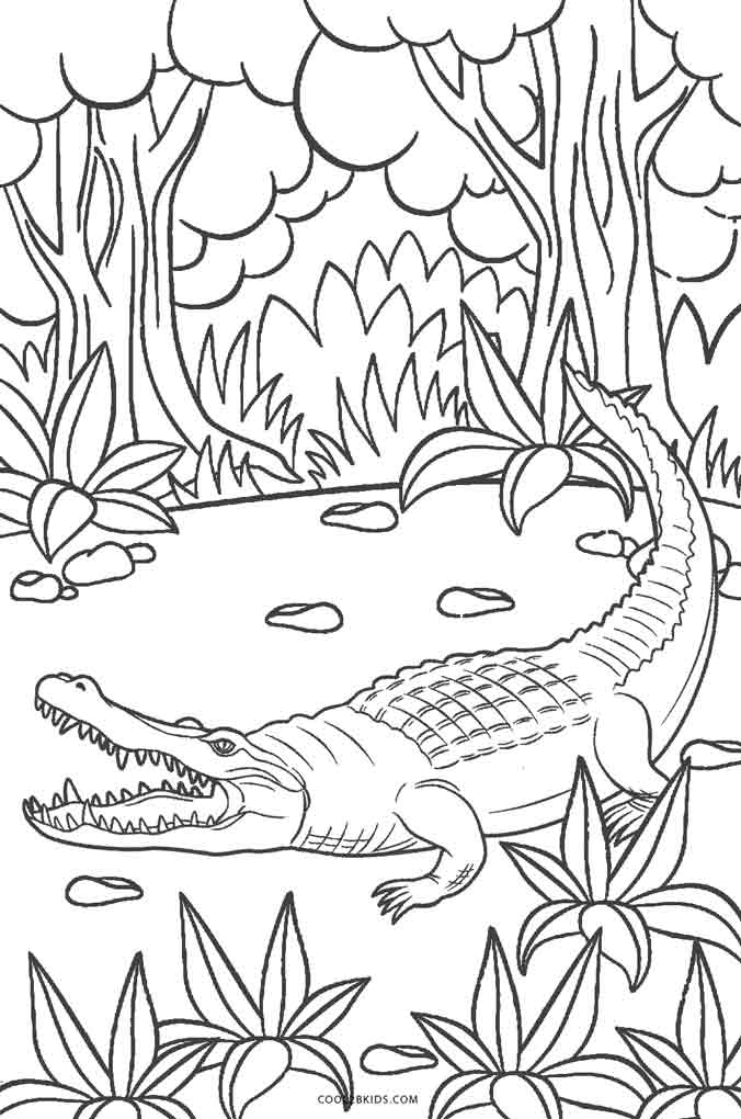676x1020 Free Printable Alligator Coloring Pages For Kids Cool2bkids