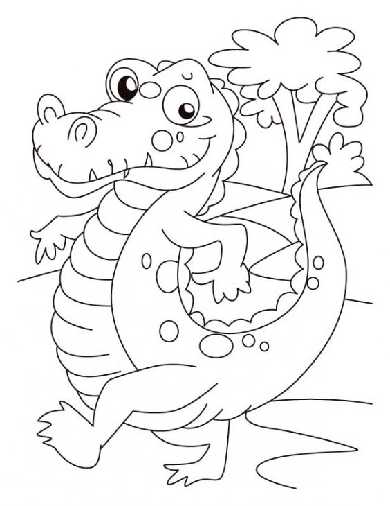 564x730 Alligator On Evening Walk Coloring Page School Theme