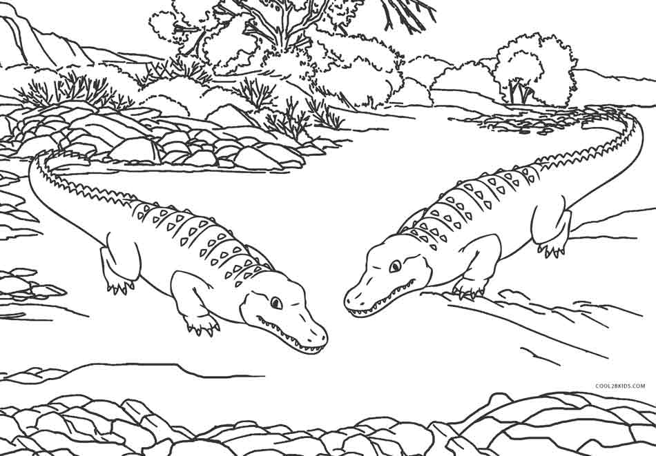 950x661 Free Printable Alligator Coloring Pages For Kids Cool2bkids
