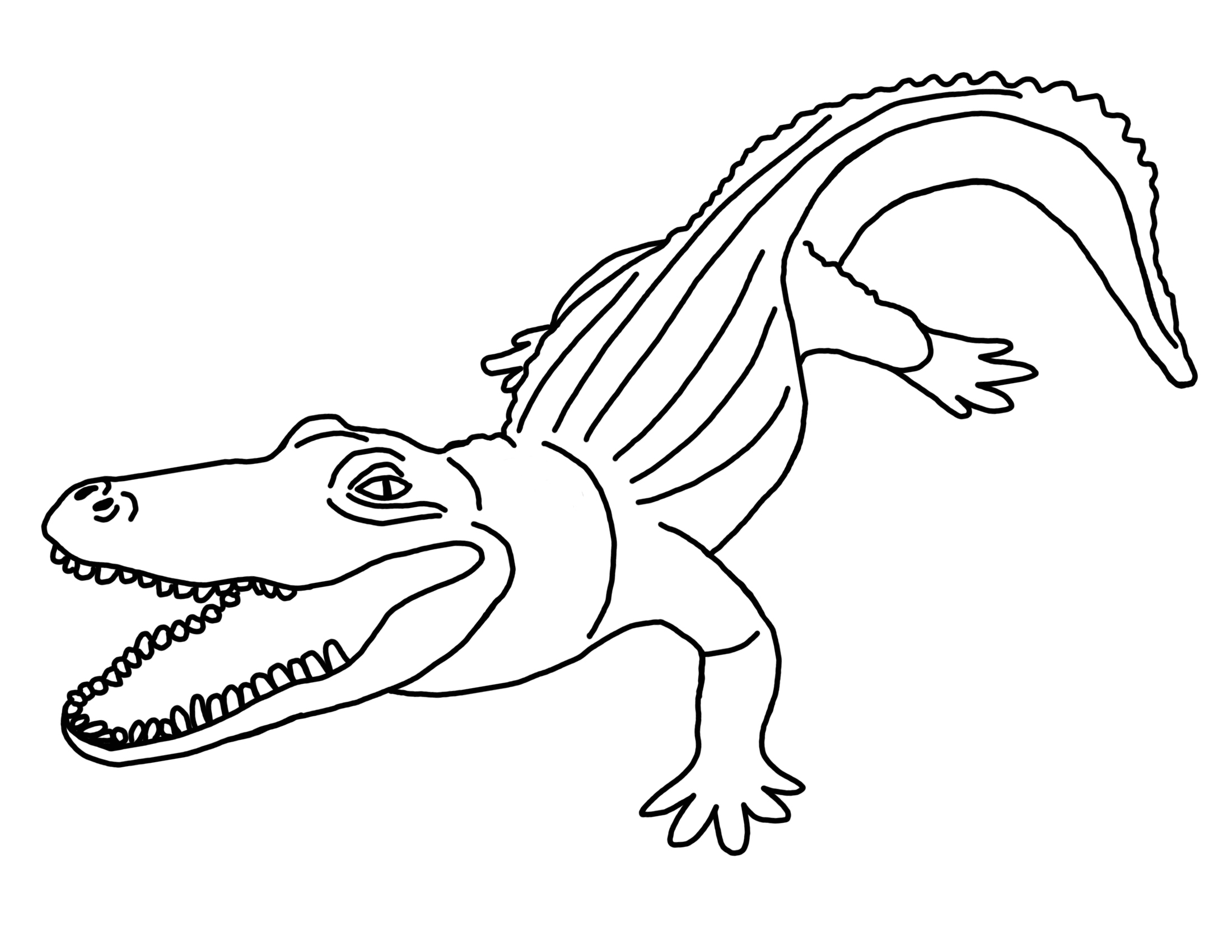 2200x1700 Fresh Caiman Coloring Page Collection Printable Coloring Sheet