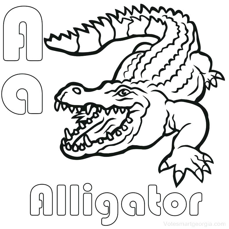 787x787 Alligator Coloring Page Alligator Coloring Pages Alligator