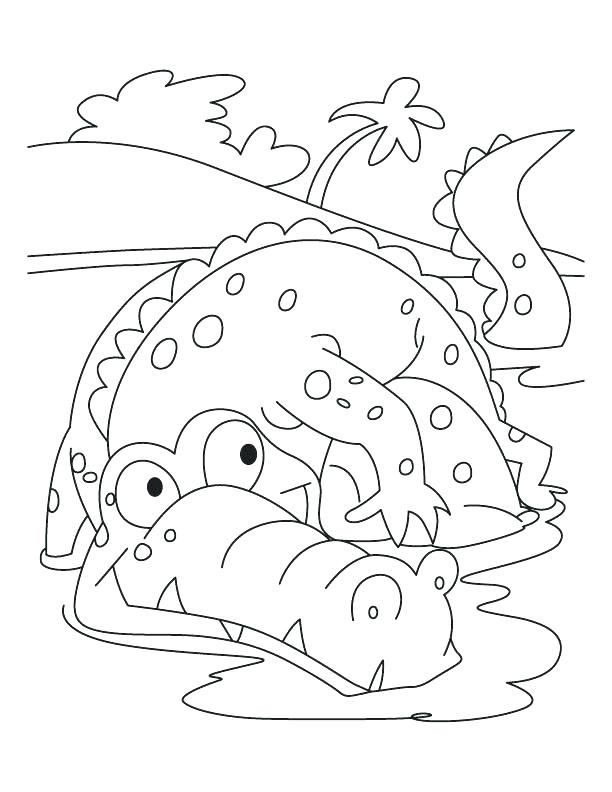 Here Are Alligator Coloring Page Images Alligator Coloring 612x792 Here Are Alligator Coloring Page Images Alligator Coloring
