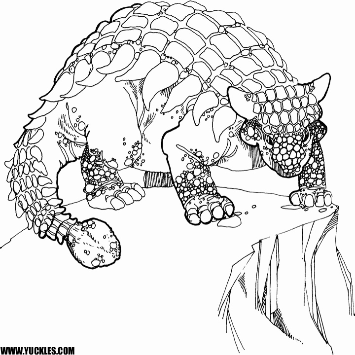 720x720 Allosaurus Coloring Page Ankylosaurus Coloring Page Dinosaurs