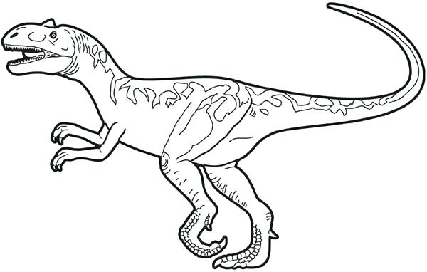 600x382 Dinosaur Skeleton Coloring Pages Shared By Dinosaur Skeleton