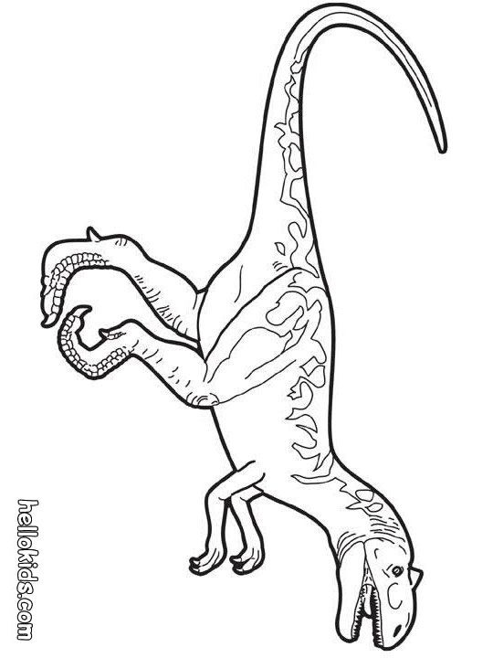 540x720 Prehistoric Allosaurus Coloring Page Emily's Science Project