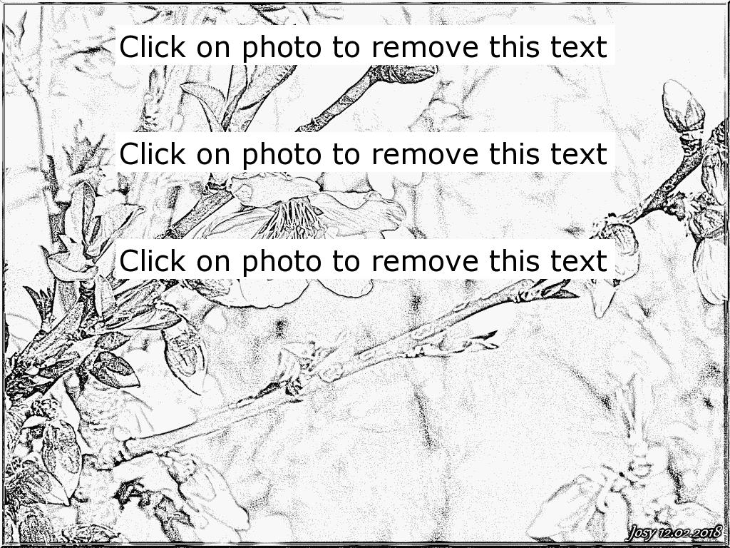 1024x768 Nature Tree Almond Tree Coloring Pages