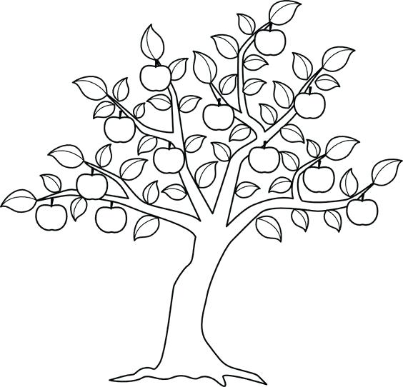564x542 Coloring Book Tree